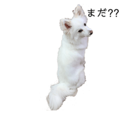 329258065
