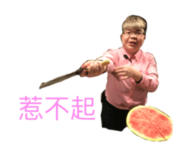 32927043
