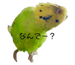 329284304