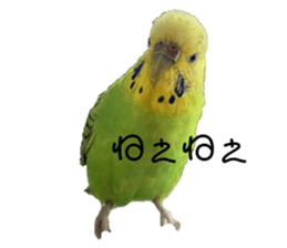 329284305