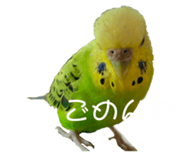 329284313