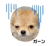 329284620