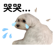329291089