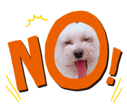 329291098