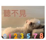 329291103