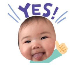 329336632