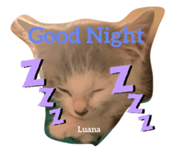 329445120