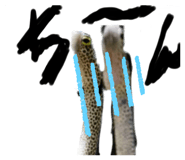 329459197