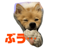329532510