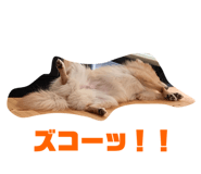 329532512