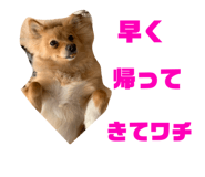 329532515