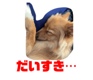 329532522
