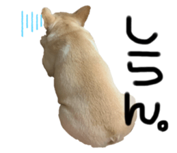 329535375