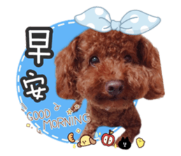 329540832