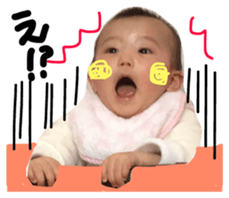 32955851
