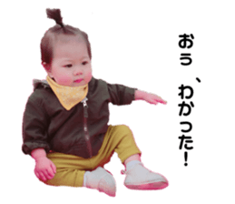 329581522