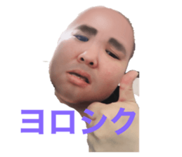329591036