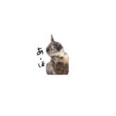 329608918