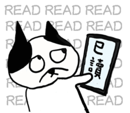329612723