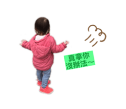 329623816