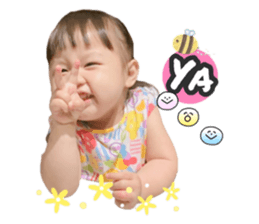 329631530