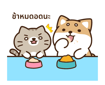 หมาน้อยชิบะ ดุ๊กดิ๊ก รูปที่ 1