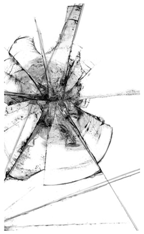 329756080