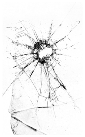 329756086