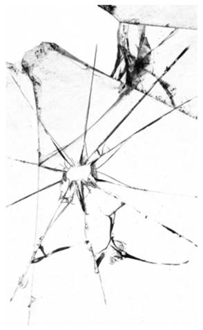 329756087