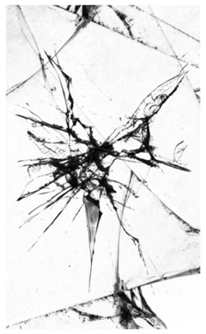 329756089
