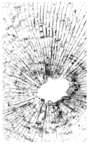 329756091