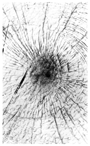 329756093