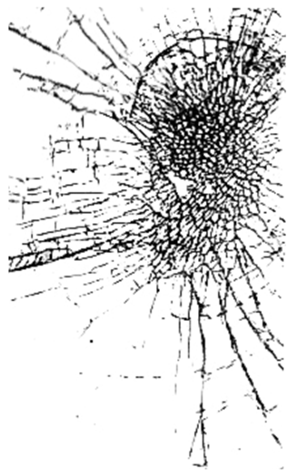 329756095