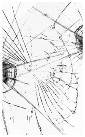 329756098