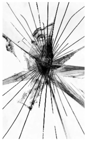 329756099