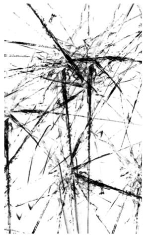 329756101
