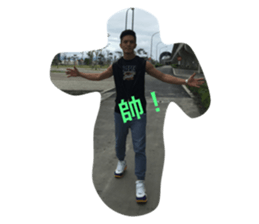 32983338