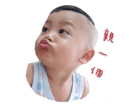 329842484
