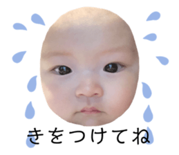329843061