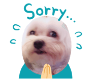 329864810
