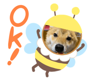 329949780