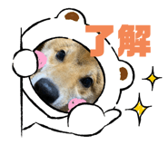 329949783