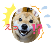 329949788