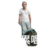 32996649