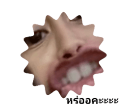 330003694