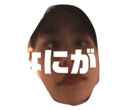 330047698