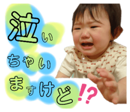 330052658