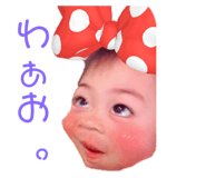 330079681