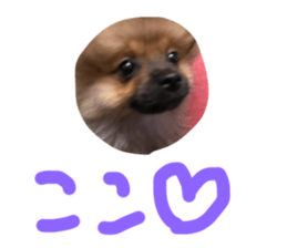 330150119
