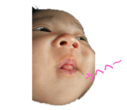 330322896